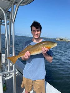 Enjoying a Charter in Orange Beach, AL