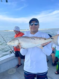 Redfish catch by two anglers in Alabama