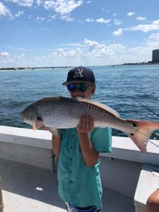 One angler fishing in Alabama