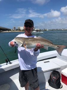 Redfish caught in AL