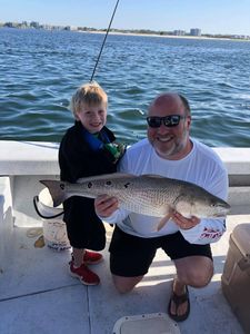 A 31-inch redfish caught by two anglers in Orange Beach, Alabama