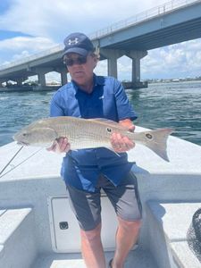 Big fish caught by angler in Alabama