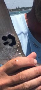 Great fishing adventure in AL