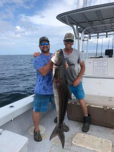 Great fishing catch in AL