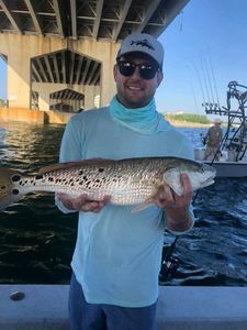 A redfish, measuring 22 inches, caught while fishing in AL