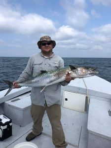 A single king mackerel, a 31-inch big fish, caught while fishing in AL