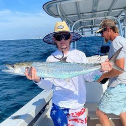 King Mackerel, a 28-inch fish, caught while fishing in AL