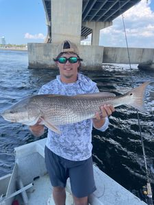 Photograph of a large redfish caught in Orange Beach