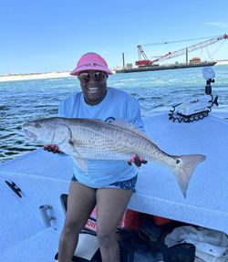 Redfish catch on fishing boat in Orange Beach Alabama