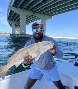 Large redfish caught during fishing trip in Orange Beach Alabama under concrete bridge