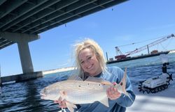 Redfish caught while fishing in Orange Beach Alabama