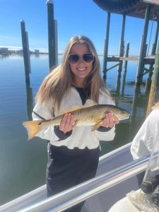 Redfish caught while fishing in Orange Beach Alabama