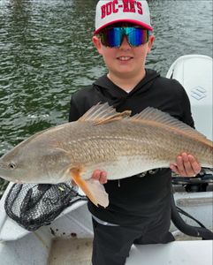 Redfish catch held on fishing boat in Orange Beach Alabama