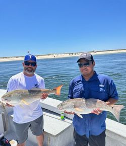 Two anglers displaying caught redfish on fishing boat in Orange Beach Alabama waters