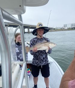 Redfish caught during fishing trip in Orange Beach AL on boat