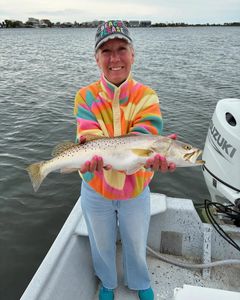 Speckled trout catch from Orange Beach AL fishing trip on boat
