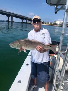 Redfish caught during fishing in AL
