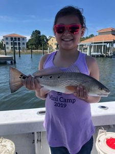 Redfish caught while fishing in Orange Beach