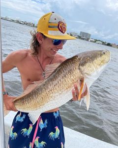Redfish caught in Orange Beach