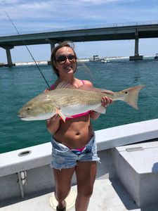 Redfish caught in AL