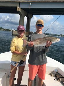 Redfish caught in Orange Beach