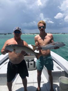 Two redfish caught at Orange Beach