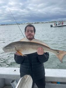 A person holding a large redfish caught while fishing in Orange Beach