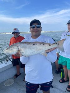 Redfish caught in Orange Beach