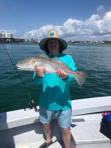 Redfish caught while fishing in Orange Beach