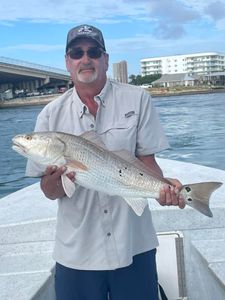 Redfish caught on a fishing trip in Orange Beach