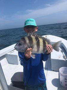 A sheepshead fish caught during fishing in Orange Beach