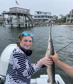 Shortnose gar caught fishing in Orange Beach Alabama waterfront area