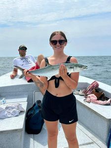 Spanish Mackerel, 37-inch catch in AL