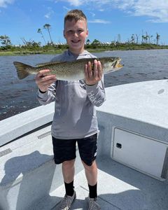 Spotted Weakfish caught while fishing in AL
