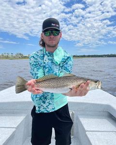 Spotted Weakfish caught by angler at Orange Beach