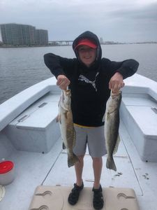Two spotted weakfish, 18 inches long, caught during fishing at Orange Beach