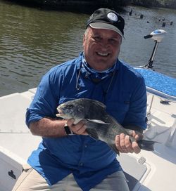 Mosquito Lagoon Black Drum Fishing