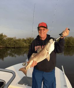 Catching Redfish in Mosquito Lagoon, FL