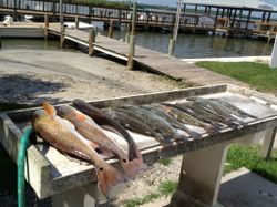 Fishing at New Smyrna Beach
