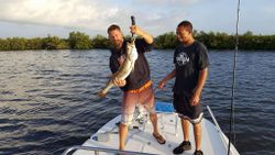 Catching Sea Trout in Mosquito Lagoon, FL