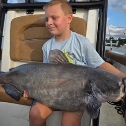 Blue Catfish caught in Charles City