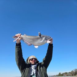 Catch of the day: 19-inch Blue Catfish