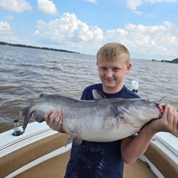 Blue catfish caught in VA