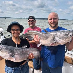 Two massive blue catfish caught in VA
