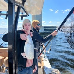 One white catfish caught in Virginia