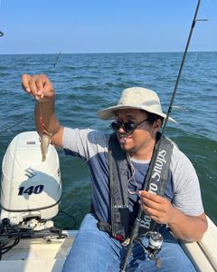 It's Not Walleye But It's Fish