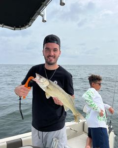 Caught This 22 inch Walleye In Lake Erie