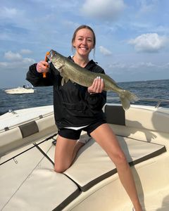 Beautiful Walleye Catch In Ohio
