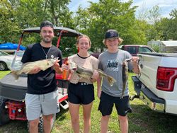 Lake Erie's Walleye Abundance