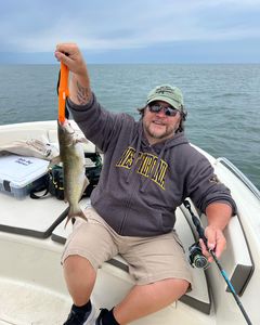 Lake Erie Catfish Thrills